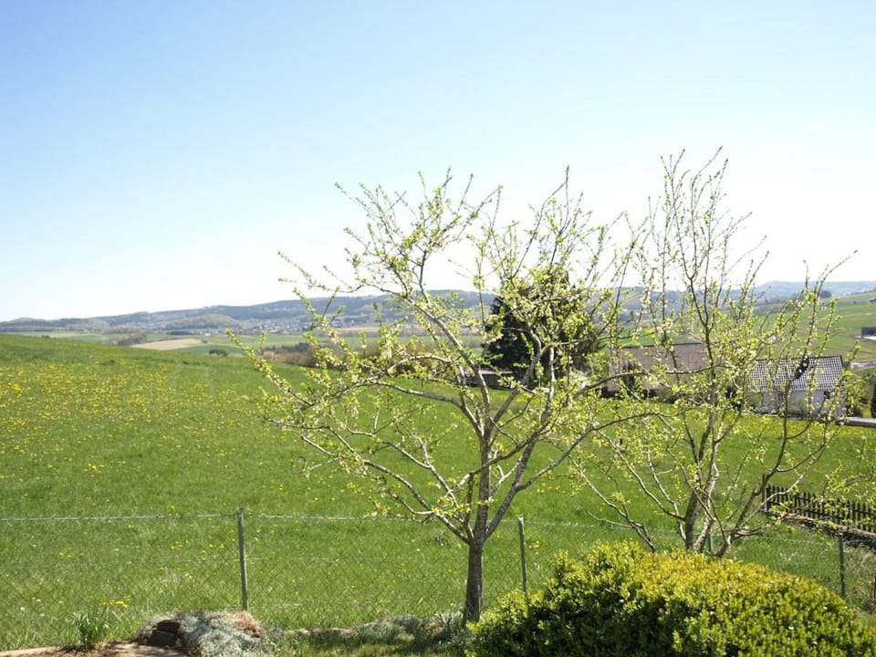 Ferienwohnung mit Fernsicht, Eifel, Nürburgring Apartment in Kelberg