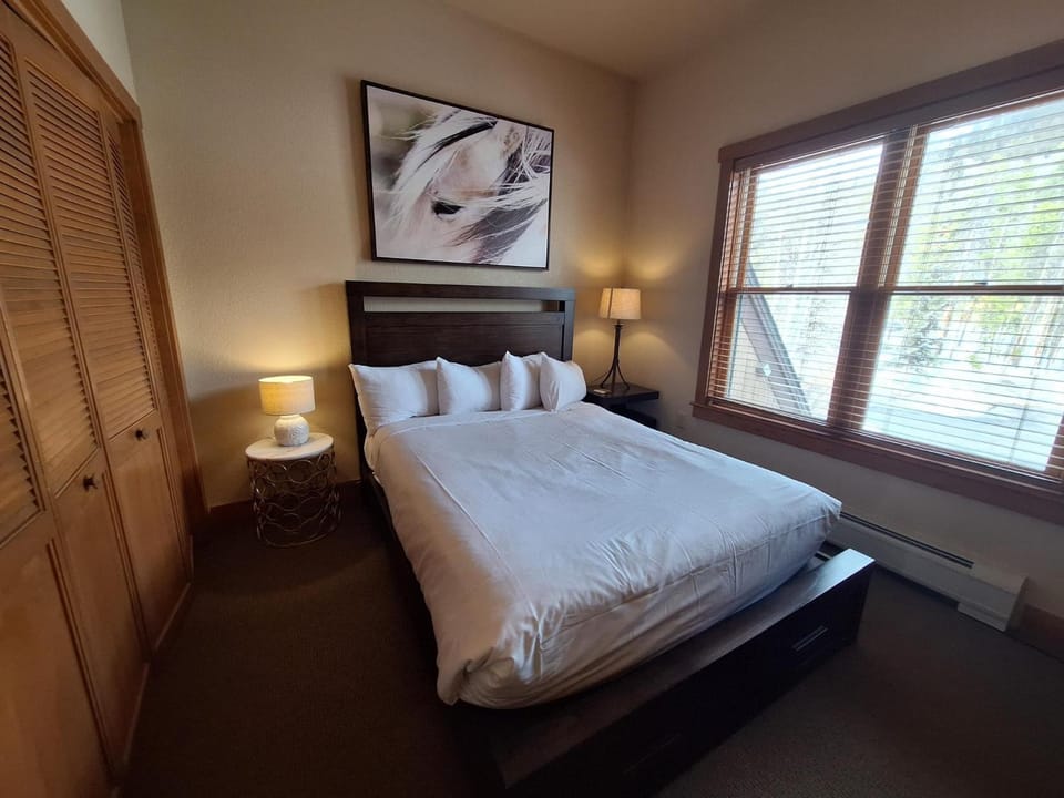 3BR Red Hawk Townhome - Gondola Access townhouse House in Keystone