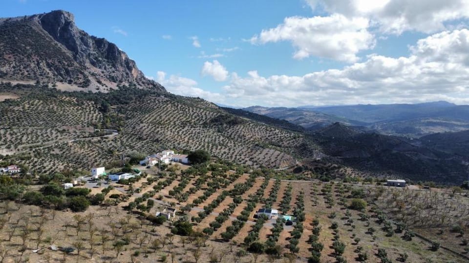 La Cordillera 1 House in Sierra de Cádiz