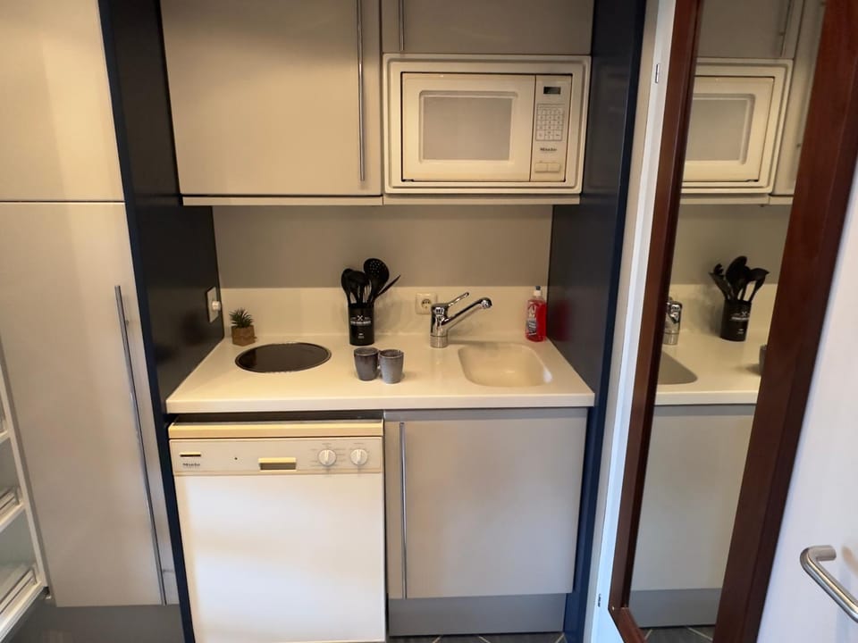 Kitchen or kitchenette, dishwasher, microwave, stove