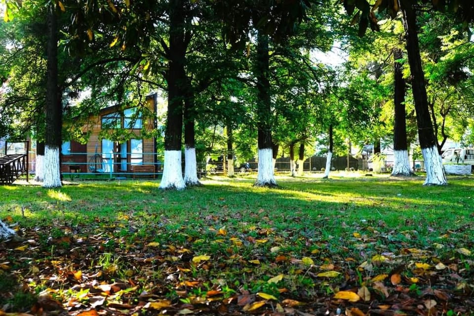 Park & Beach House in Ureki Magnetiti, Sleeps 6 House in Georgia