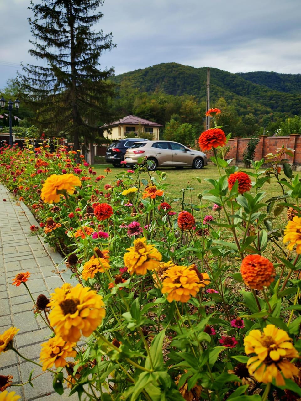 Pensiunea Silver Bed and Breakfast in Romania