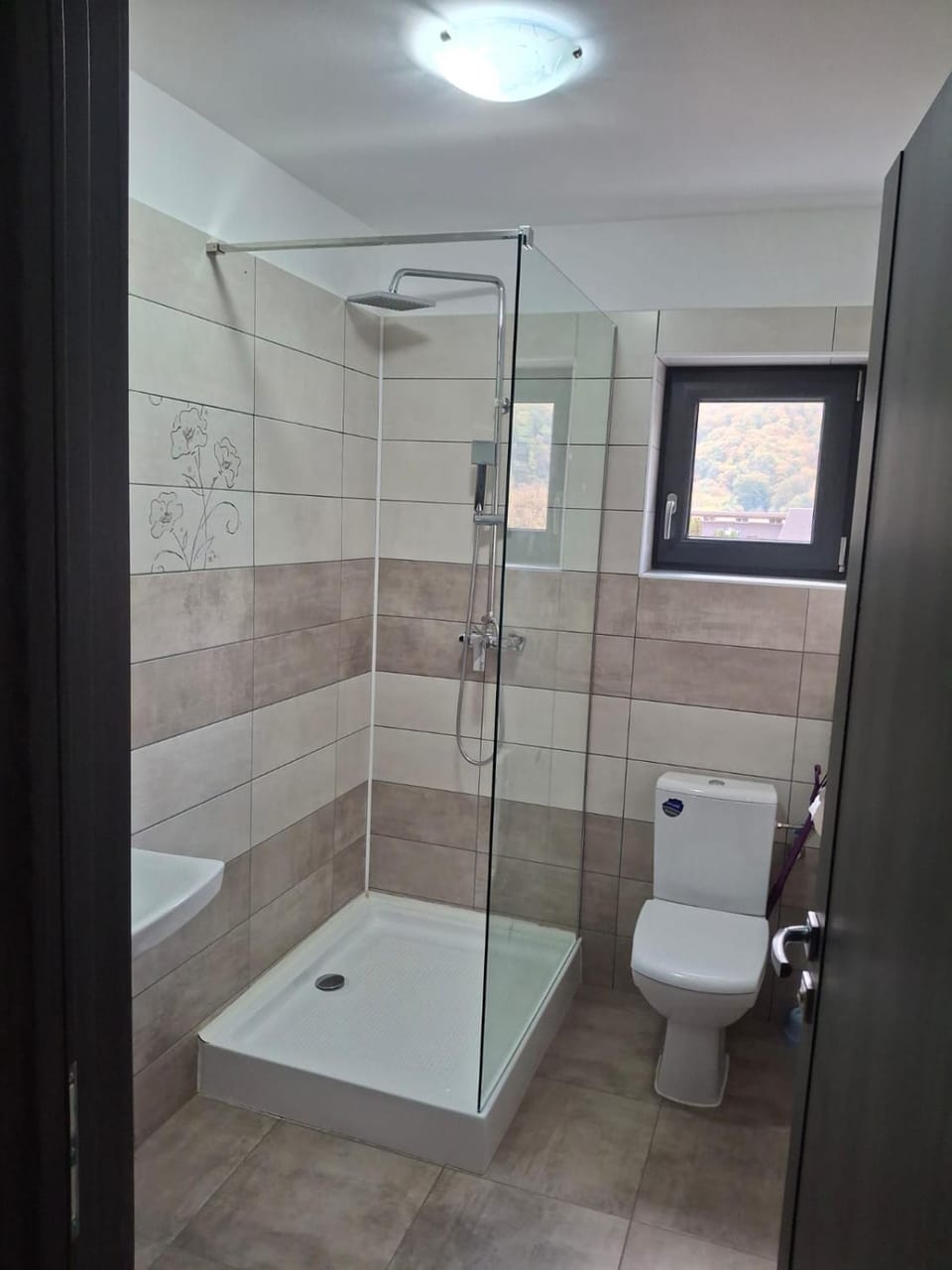 Pensiunea Silver Bed and Breakfast in Romania
