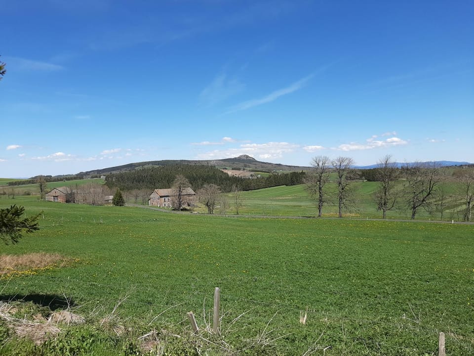 View (from property/room)