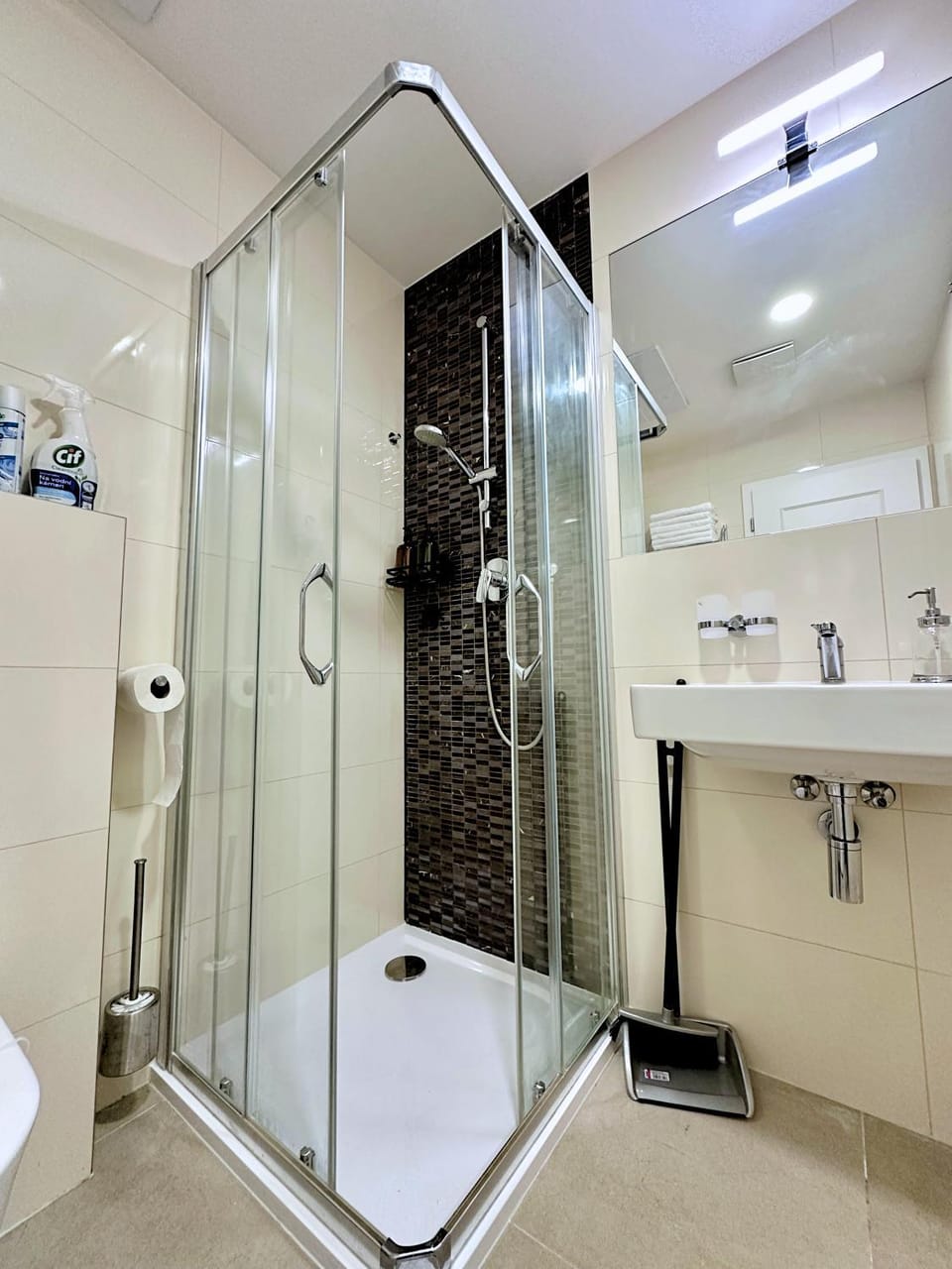 Shower, Toilet, Bathroom, towels