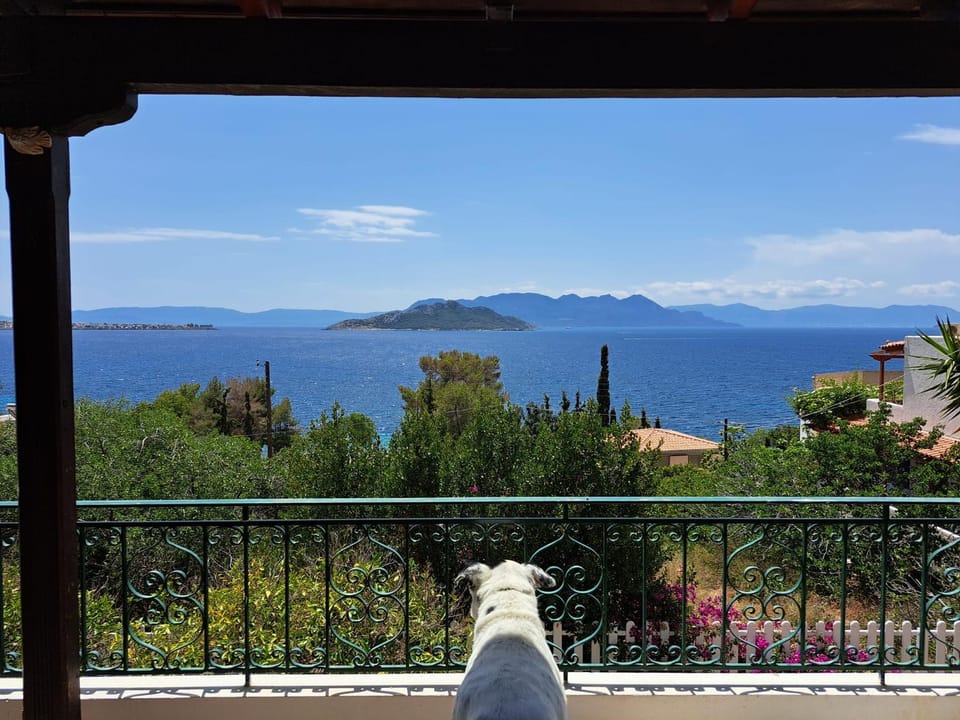 Balcony/Terrace, Sea view
