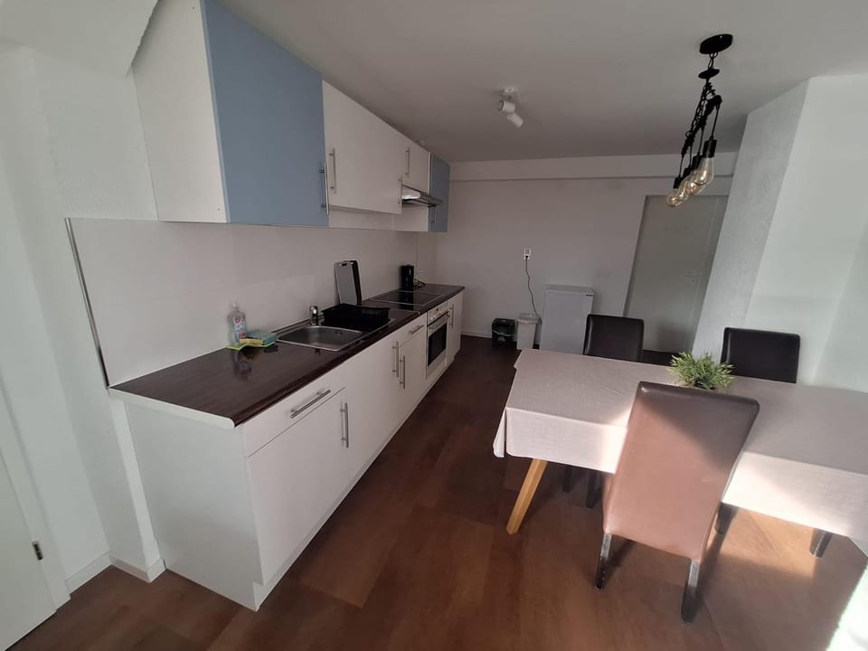 Kitchen or kitchenette, Dining area, oven, stove