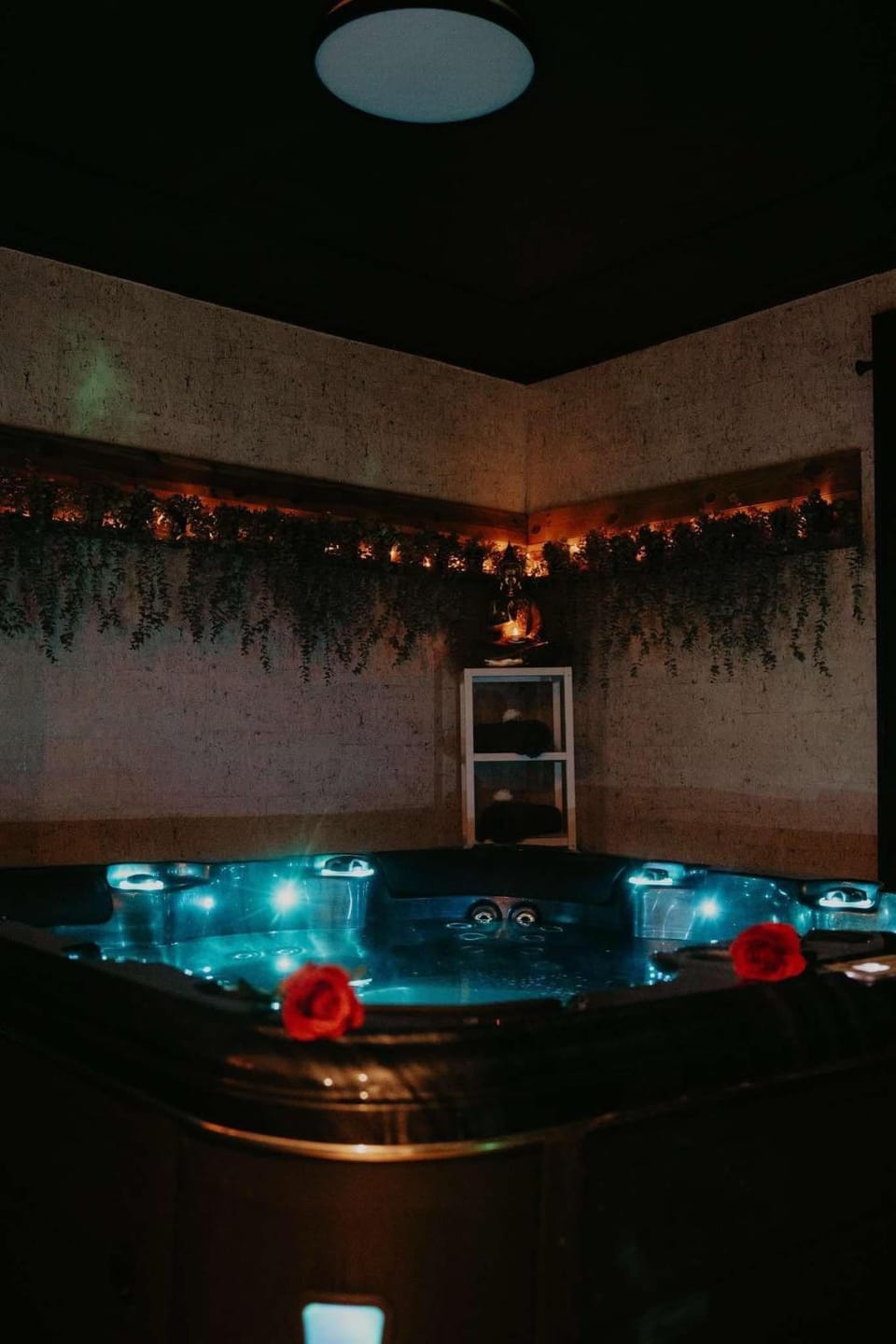 Hot Tub, Spa and wellness centre/facilities