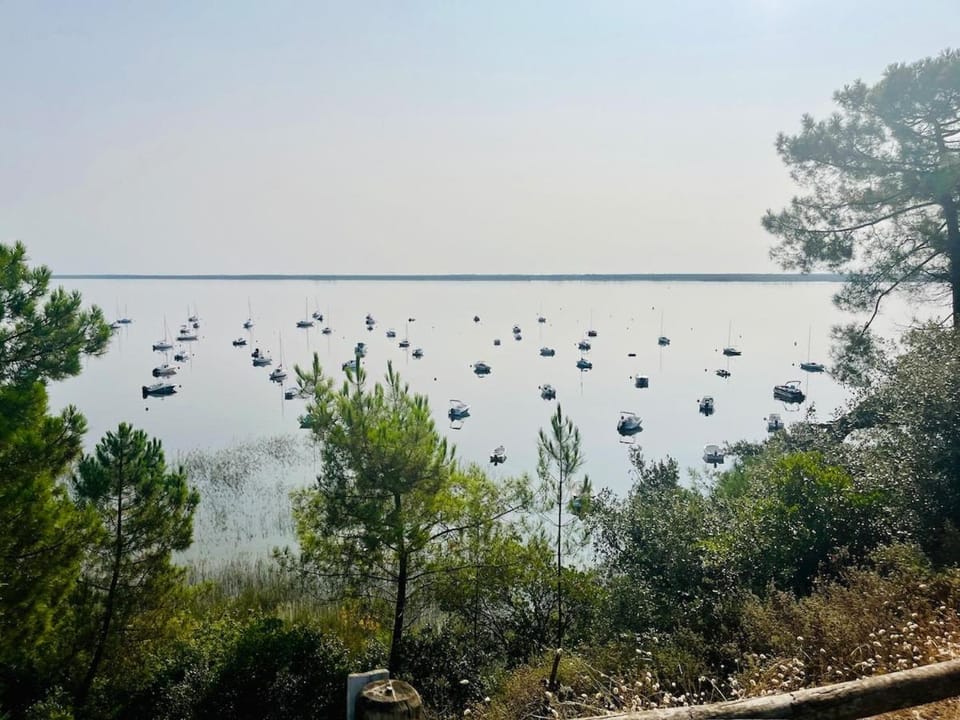 Natural landscape, Lake view