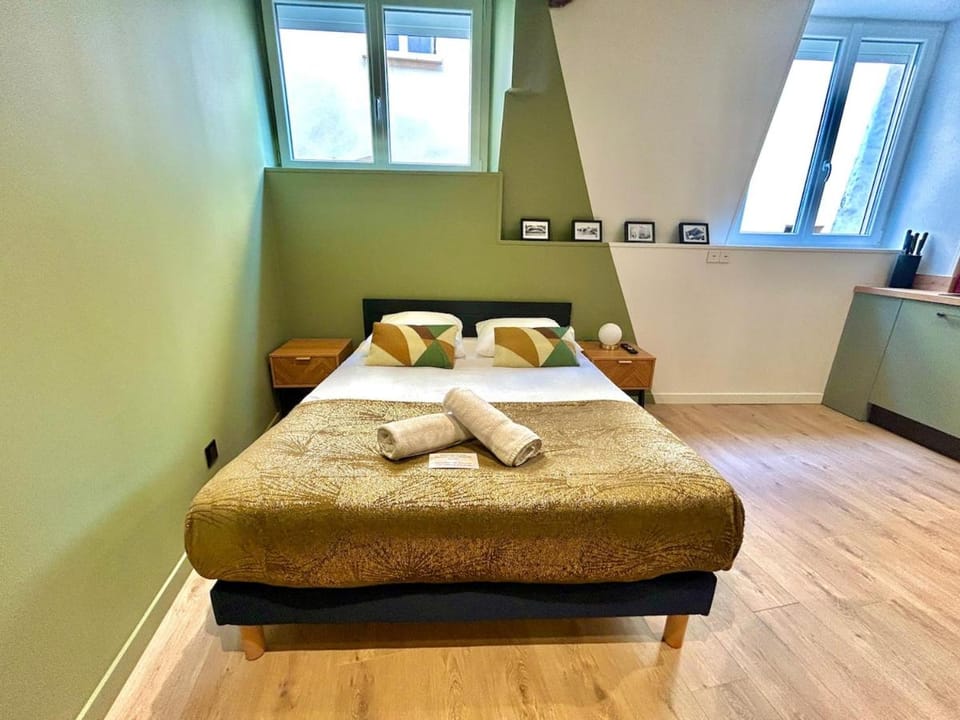 Le Verdoré, au pied du centre historique Apartment in Valence