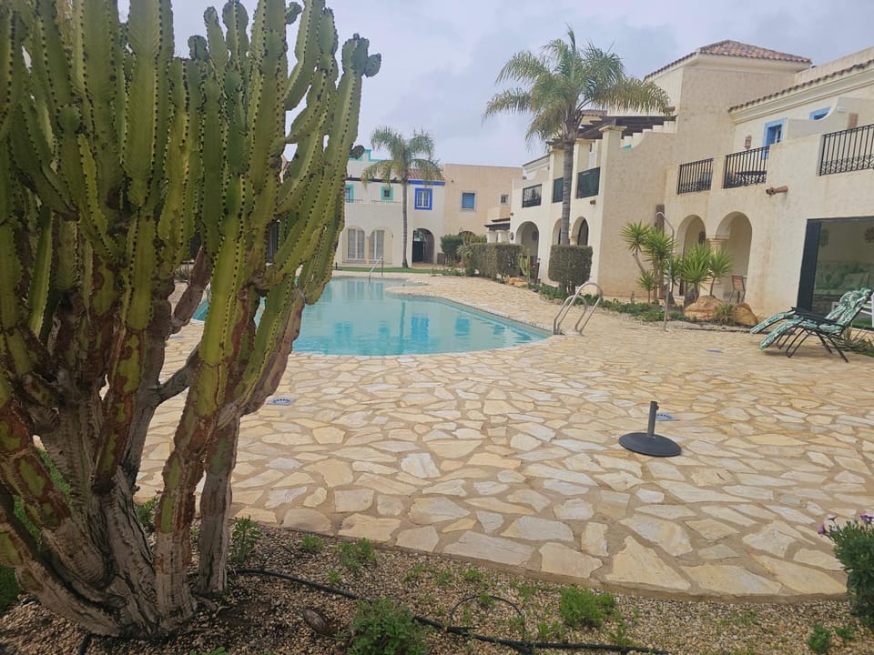 Property building, Day, Garden, Garden view, Pool view, Swimming pool, sunbed