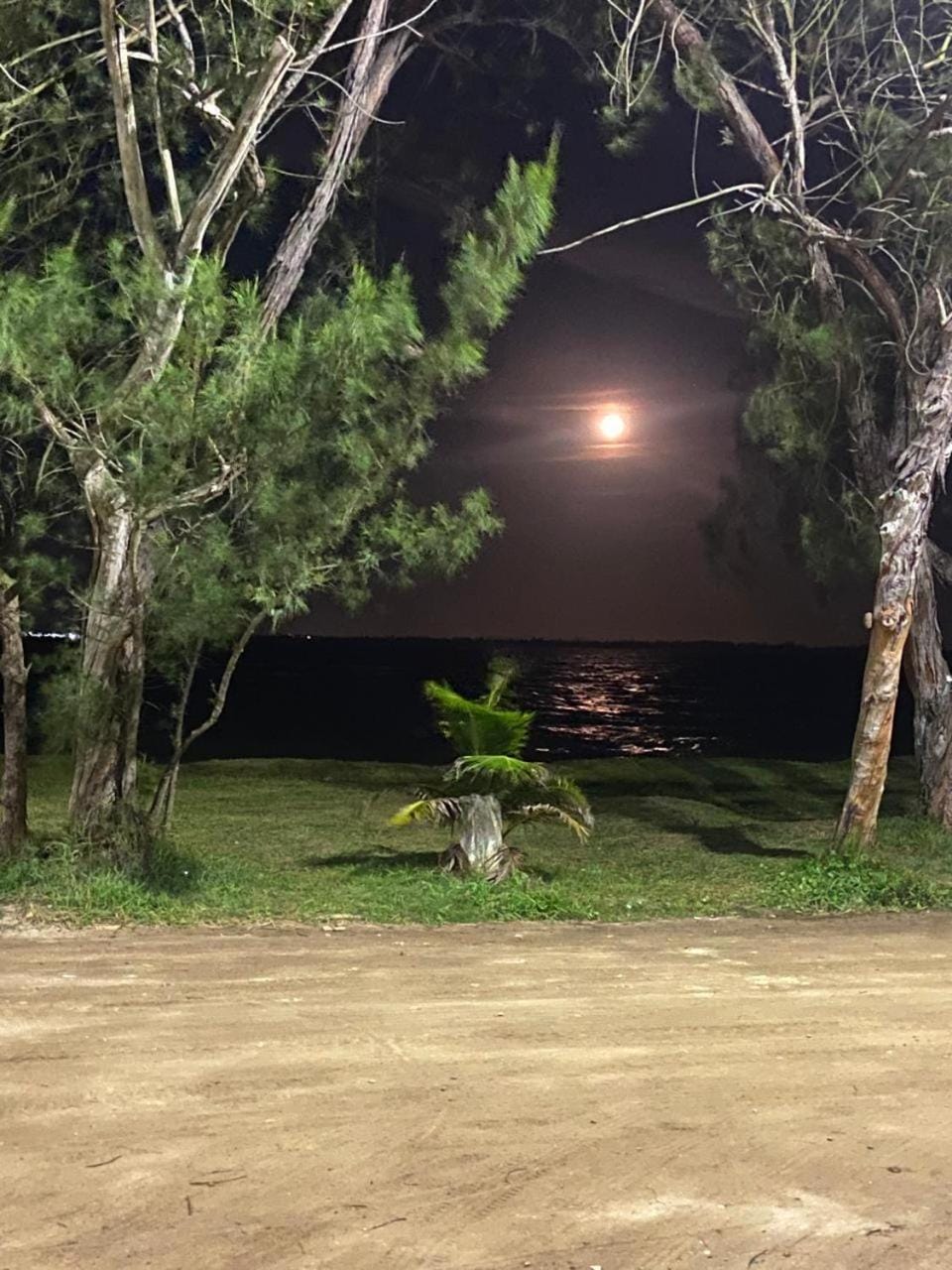 Sea view