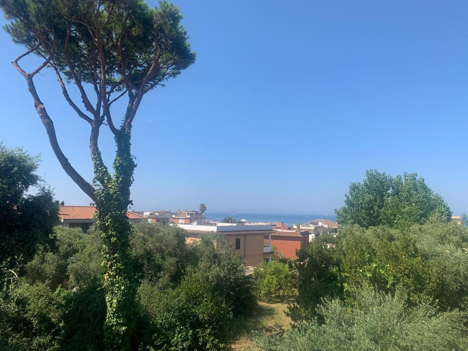 View (from property/room)