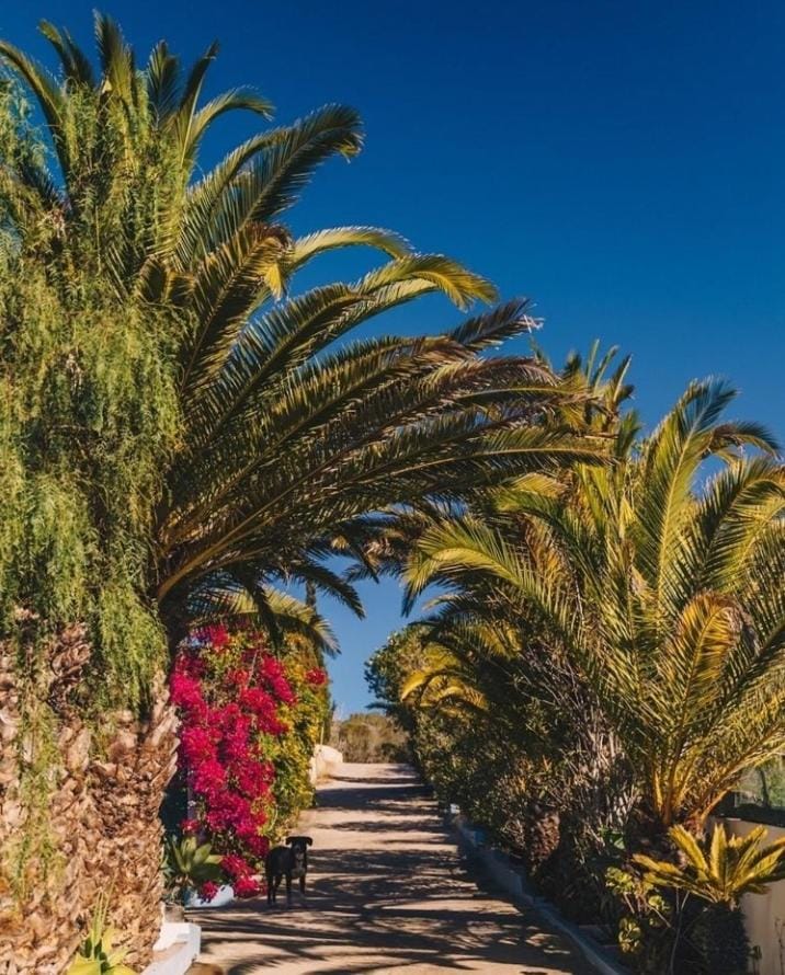 Casa Monki Bed and Breakfast in Faro District