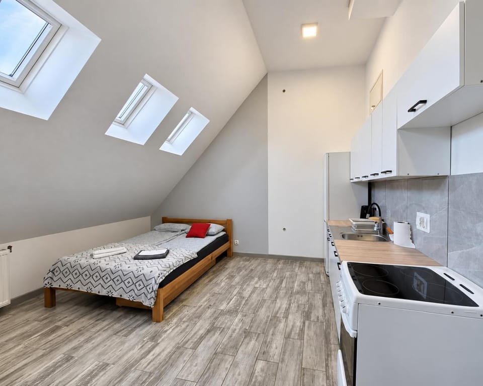 Bed, Kitchen or kitchenette, Photo of the whole room, Bedroom, oven