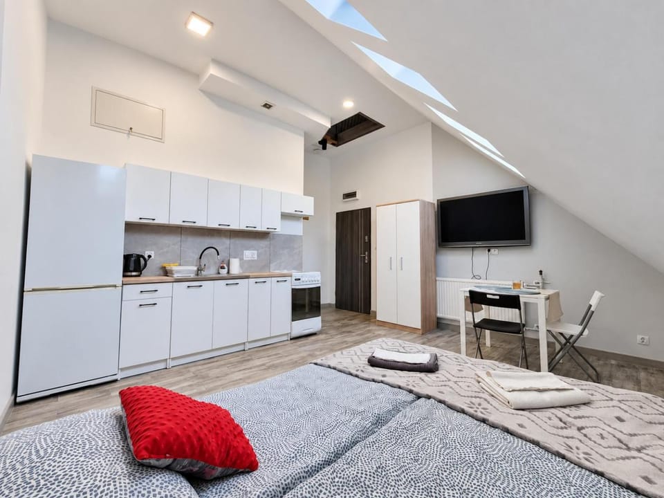 Bed, TV and multimedia, Kitchen or kitchenette, Living room, Photo of the whole room, Seating area, Dining area, Bedroom, oven, stove
