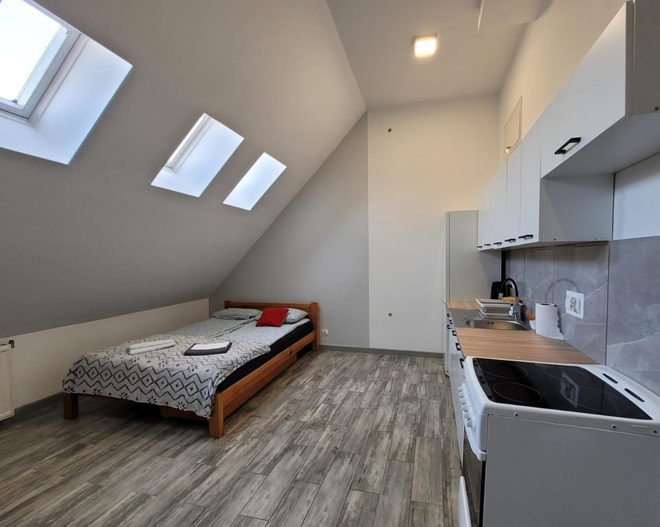 Bed, Kitchen or kitchenette, Photo of the whole room, Bedroom