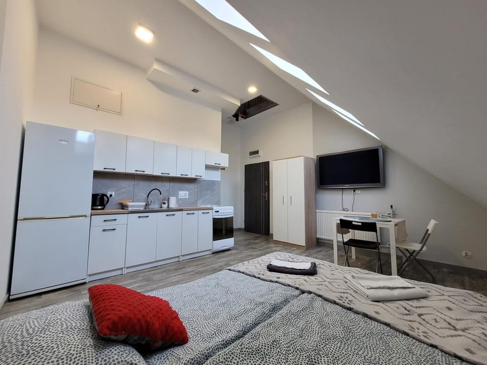 Communal lounge/ TV room, Bed, TV and multimedia, Kitchen or kitchenette, Living room, Photo of the whole room, Seating area, Evening entertainment, Bedroom, oven