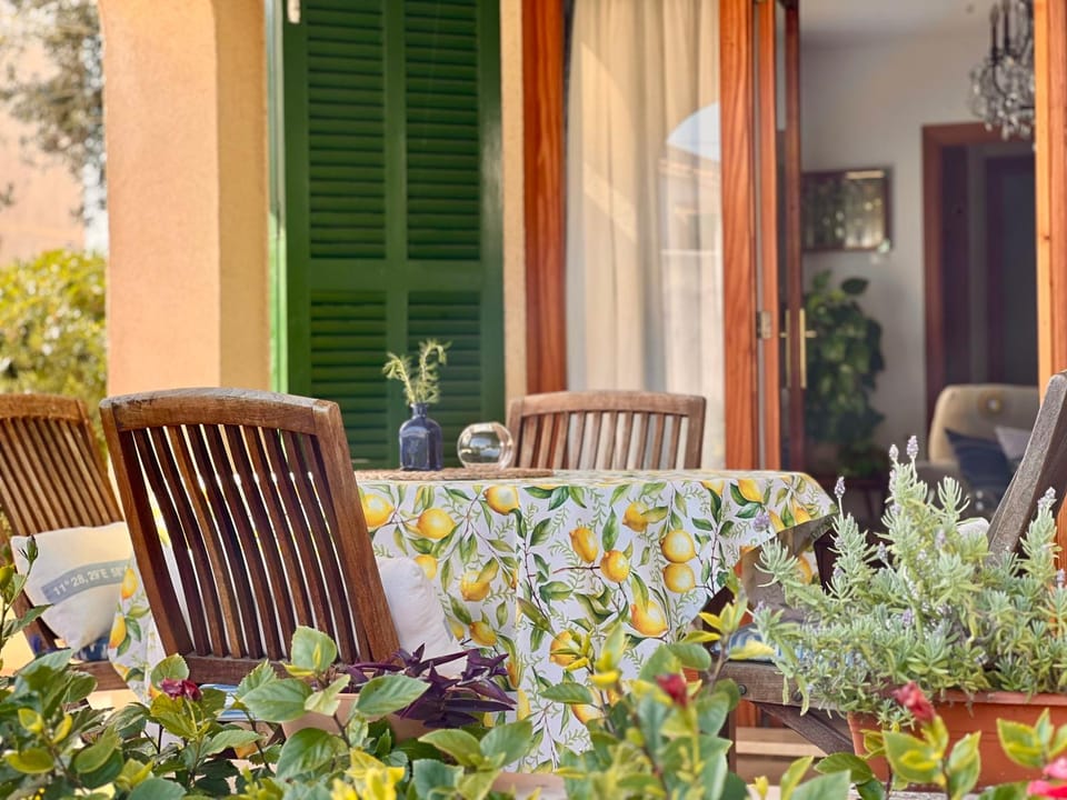 Patio, Spring, Garden, Seating area, Dining area, Garden view