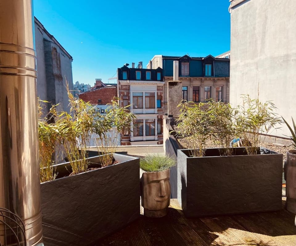 Charming & Spacious Duplex viewing the lovely MAS Apartment in Antwerp