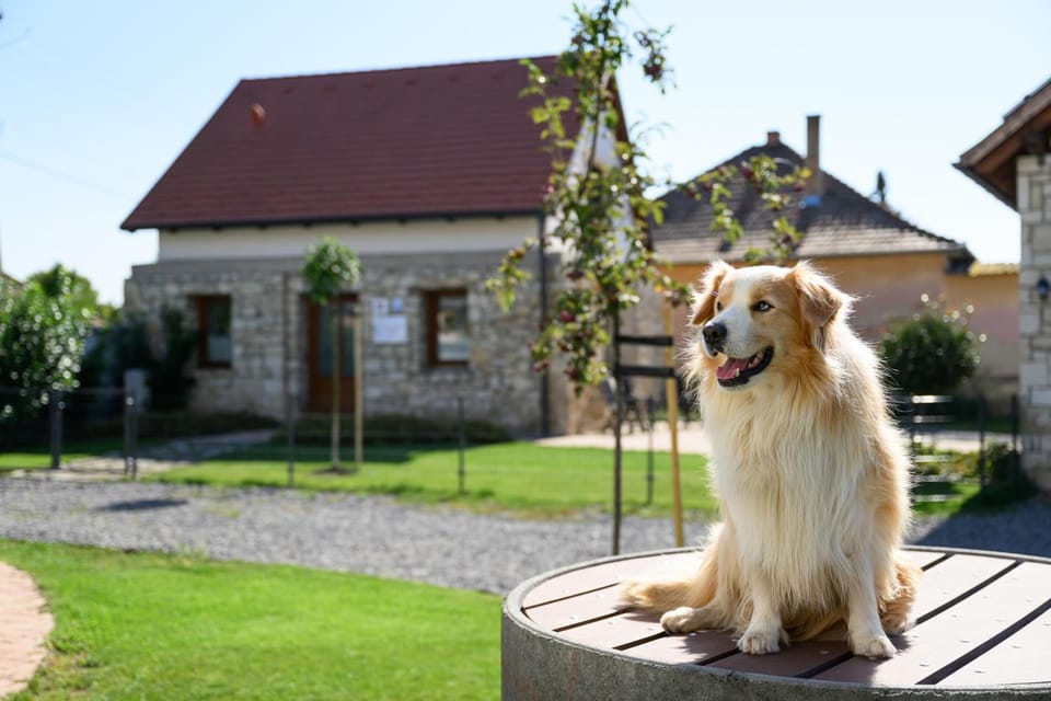Property building, Pets