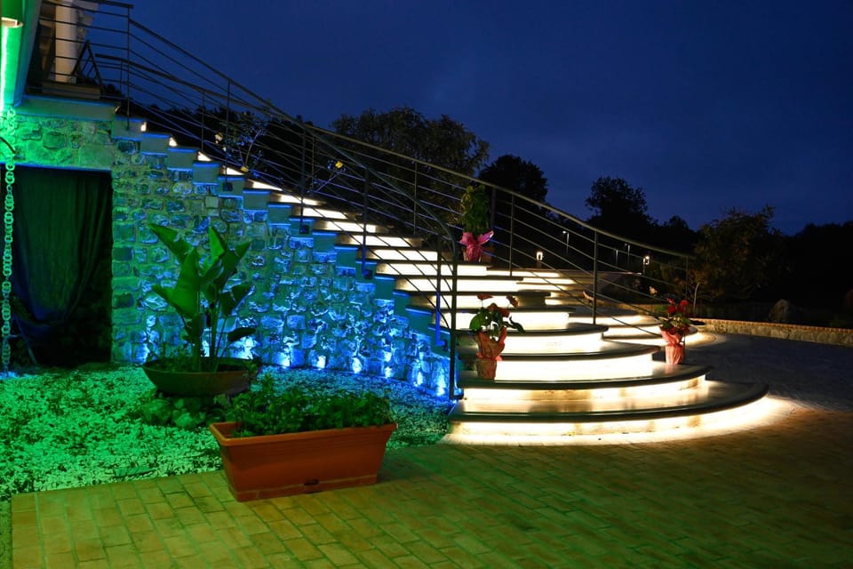 Night, Garden, Garden view