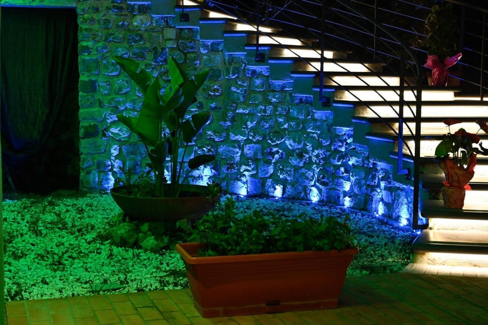 Night, Garden, Garden view