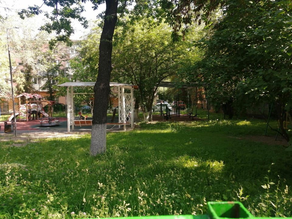 Garden view
