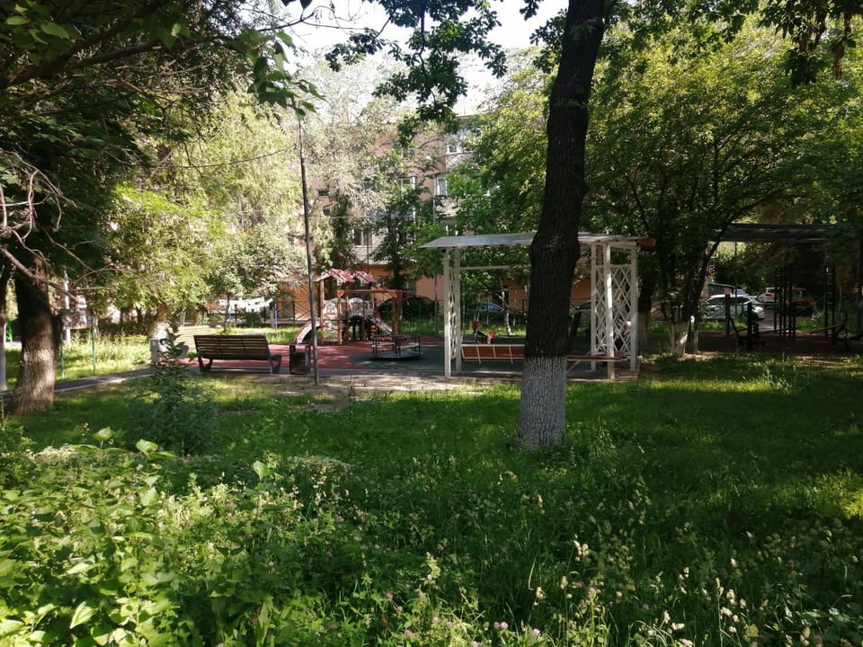 Garden view