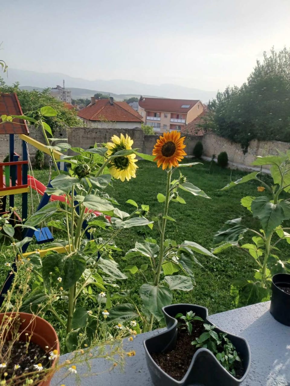 Garden, Garden view