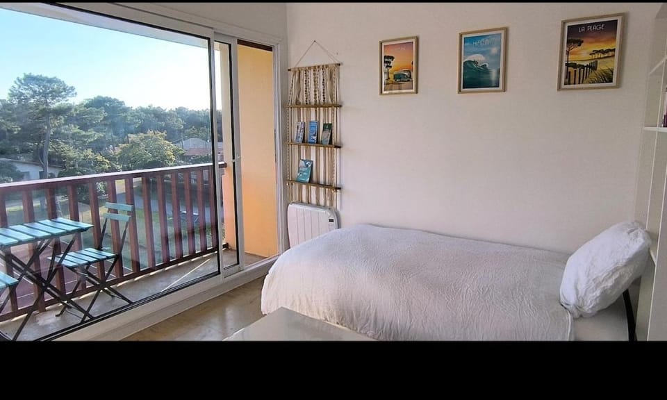 Studio les mouettes Apartment in Mimizan