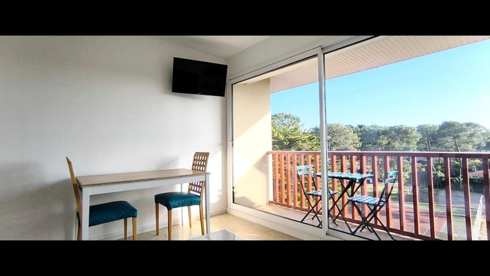 Studio les mouettes Apartment in Mimizan