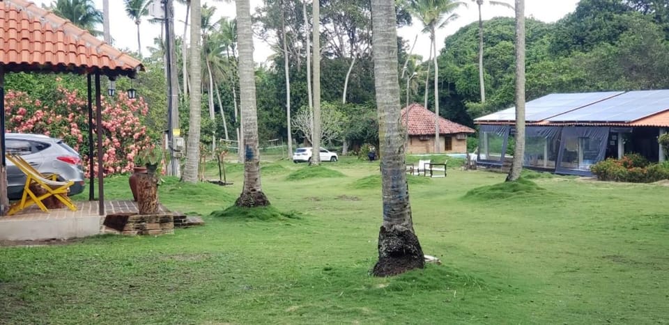 FAZENDA BOSQUE DAs PALMEIRAS Farm Stay in Itamaracá