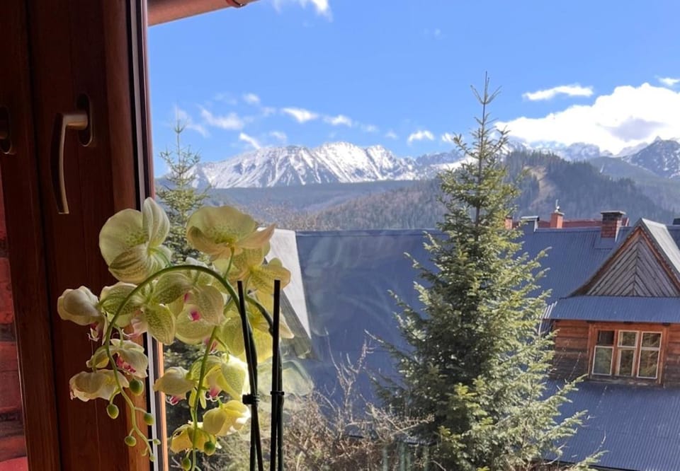 Willa Regionalna Apartment in Zakopane