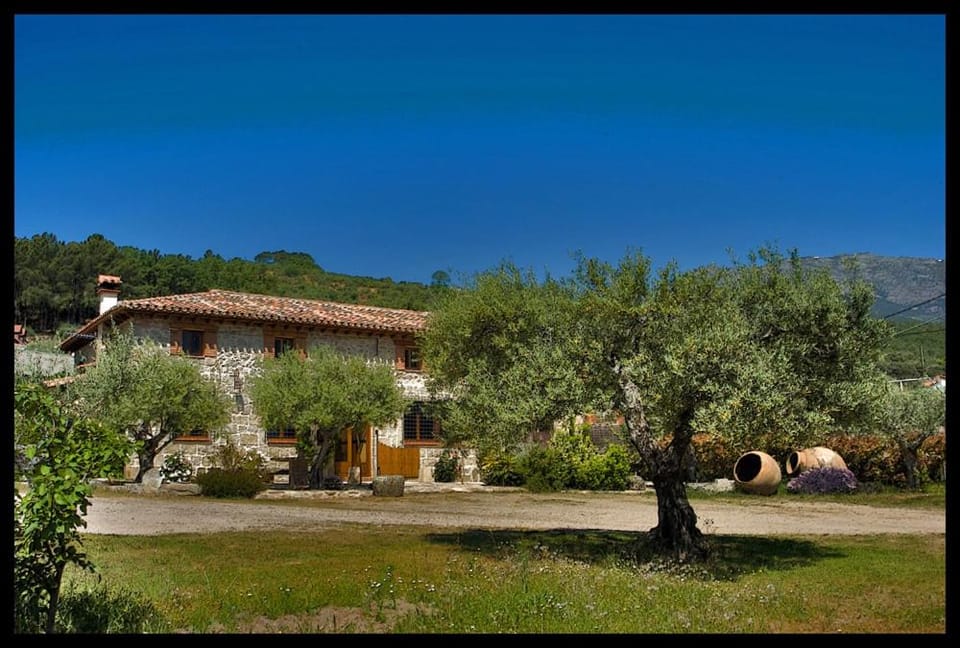 Property building, Garden view