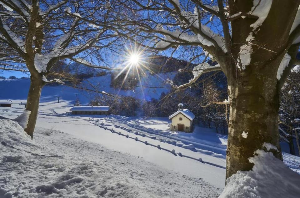 Natural landscape, Winter