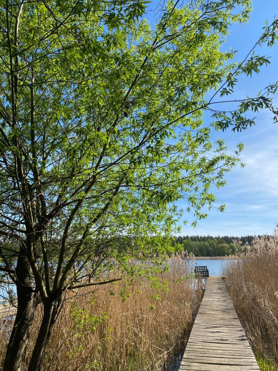 Spring, Day, Natural landscape, River view