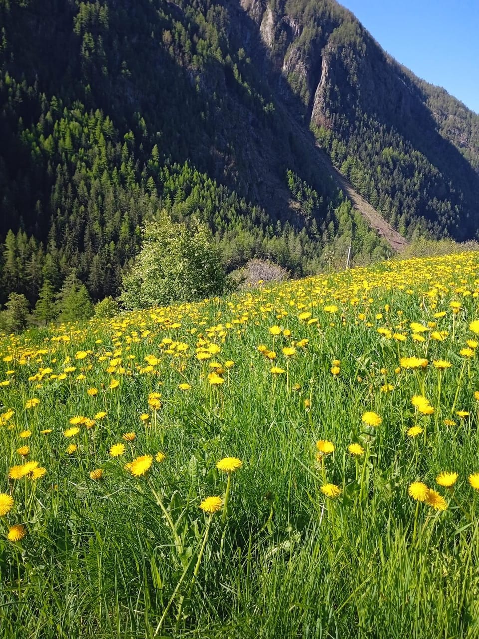 Maison Neige Et Soleil Apartment in Aosta Valley, Italy