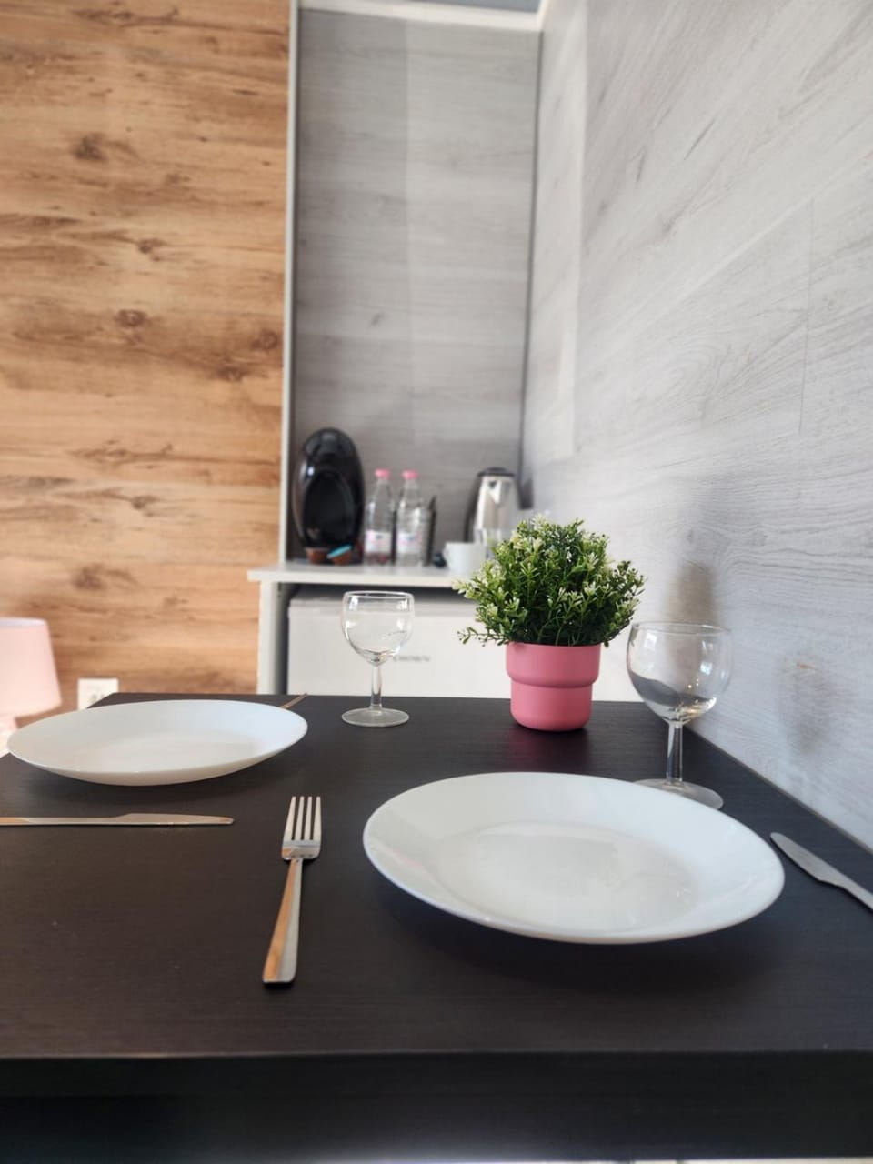 Continental studios 5 Apartment in Sofia