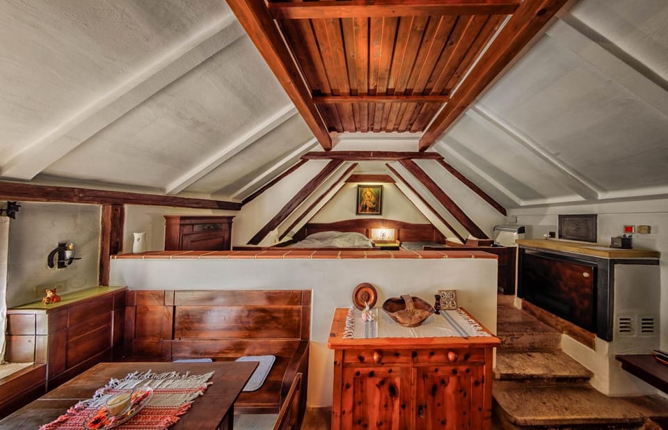Photo of the whole room, pet friendly