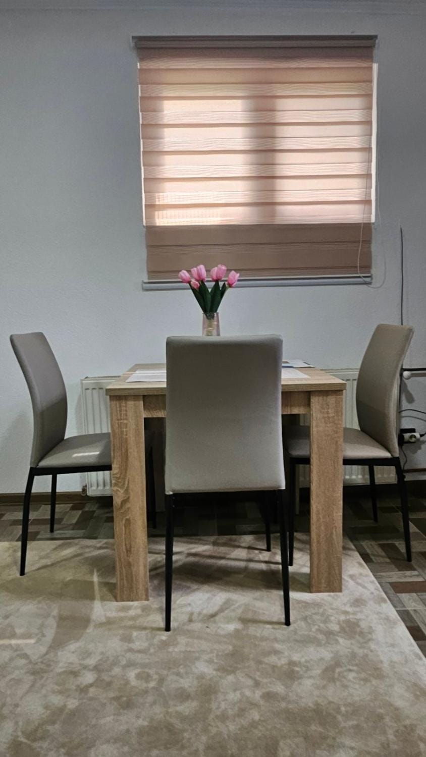 Apartman Kaljević Apartment in Zlatibor District, Serbia