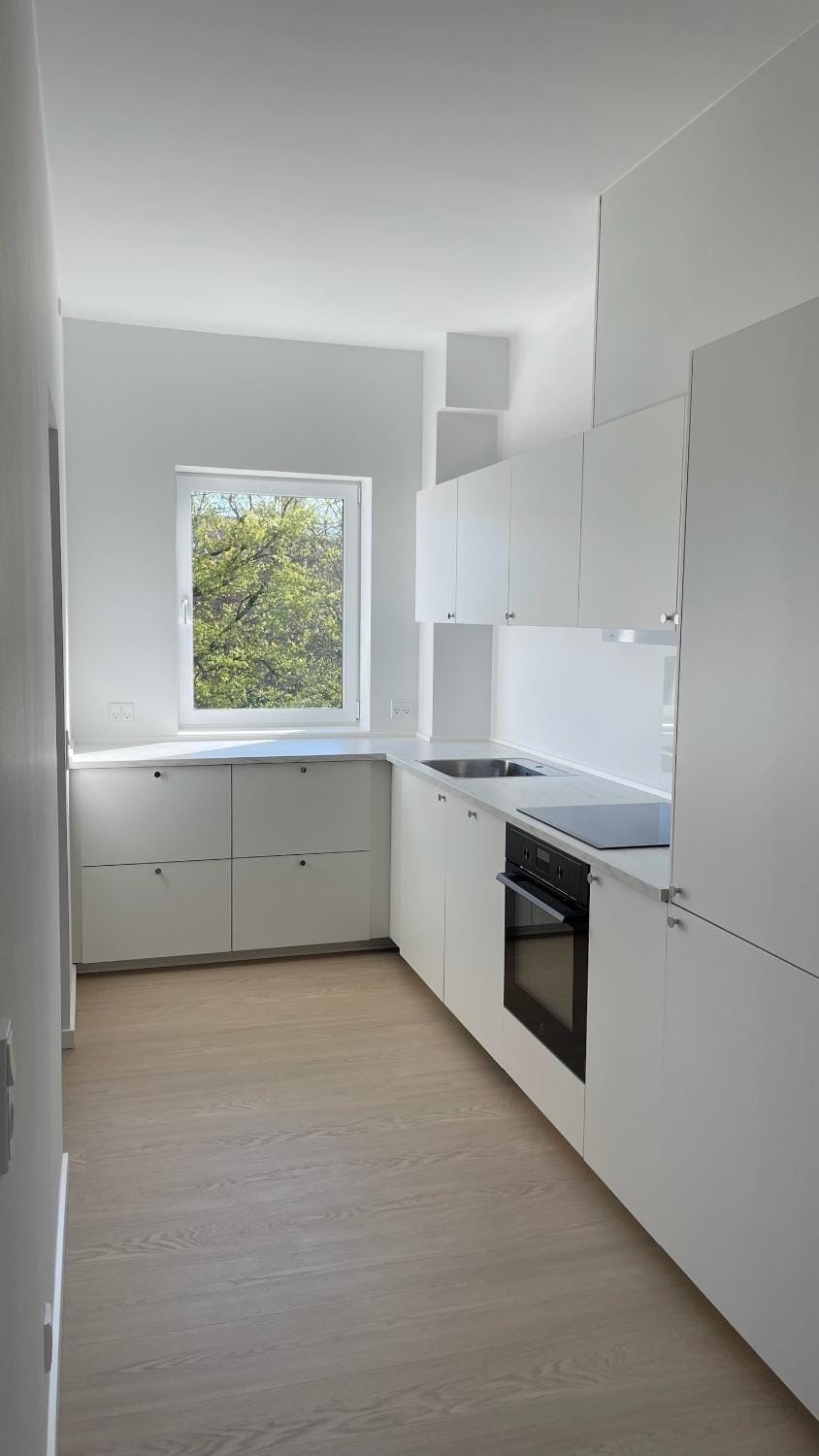 Kitchen or kitchenette, dishwasher, oven, stove