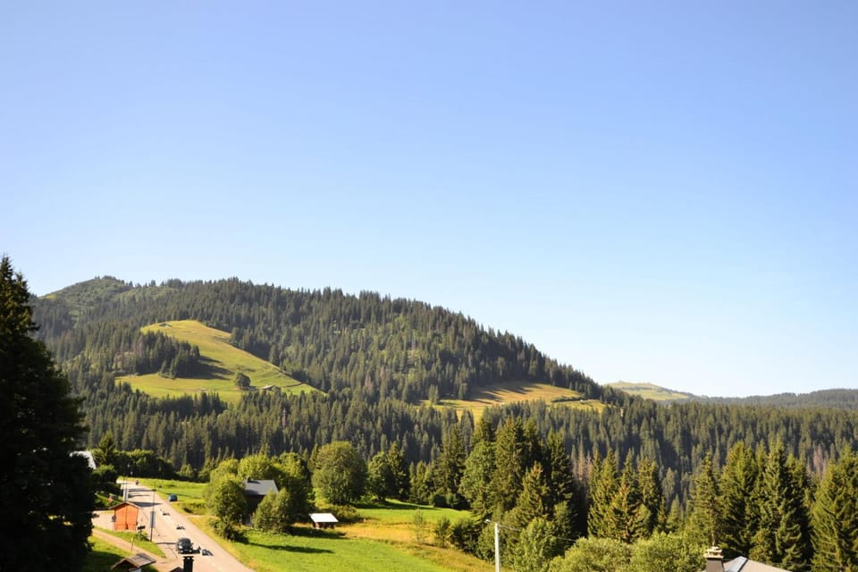 Résidence Les Crocus - Appartement moderne à proximité des pistes MAE-0091 Apartment in Notre-Dame-de-Bellecombe