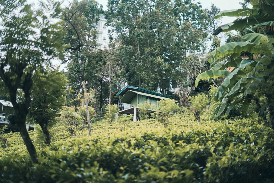 Natural landscape, Garden, Garden view