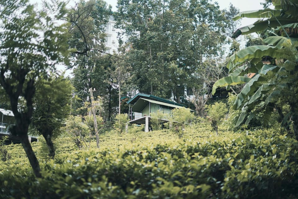 Property building, Garden
