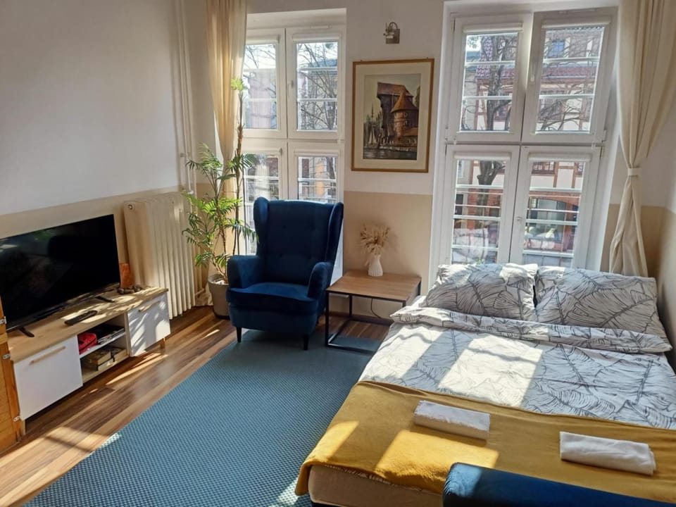 TV and multimedia, Living room, Photo of the whole room, Seating area, Bedroom
