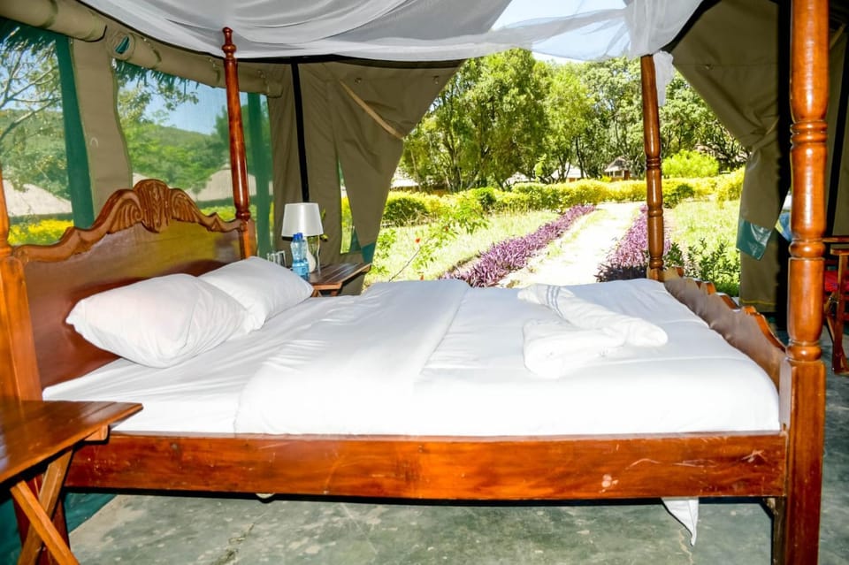 Giraffe Hills Mara Camp Hotel in Kenya
