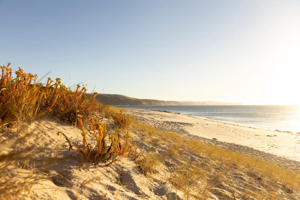 Natural landscape, Beach, Sea view