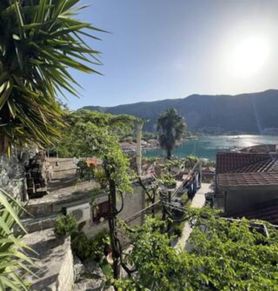 Panoramic view ! Rooftop garden - Old Town studio Apartment in Kotor