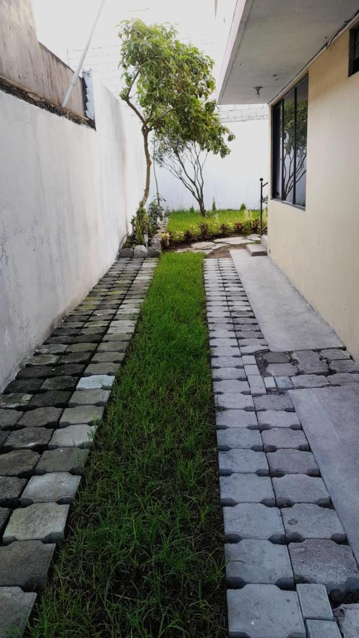 Bee House Apartment in Banos
